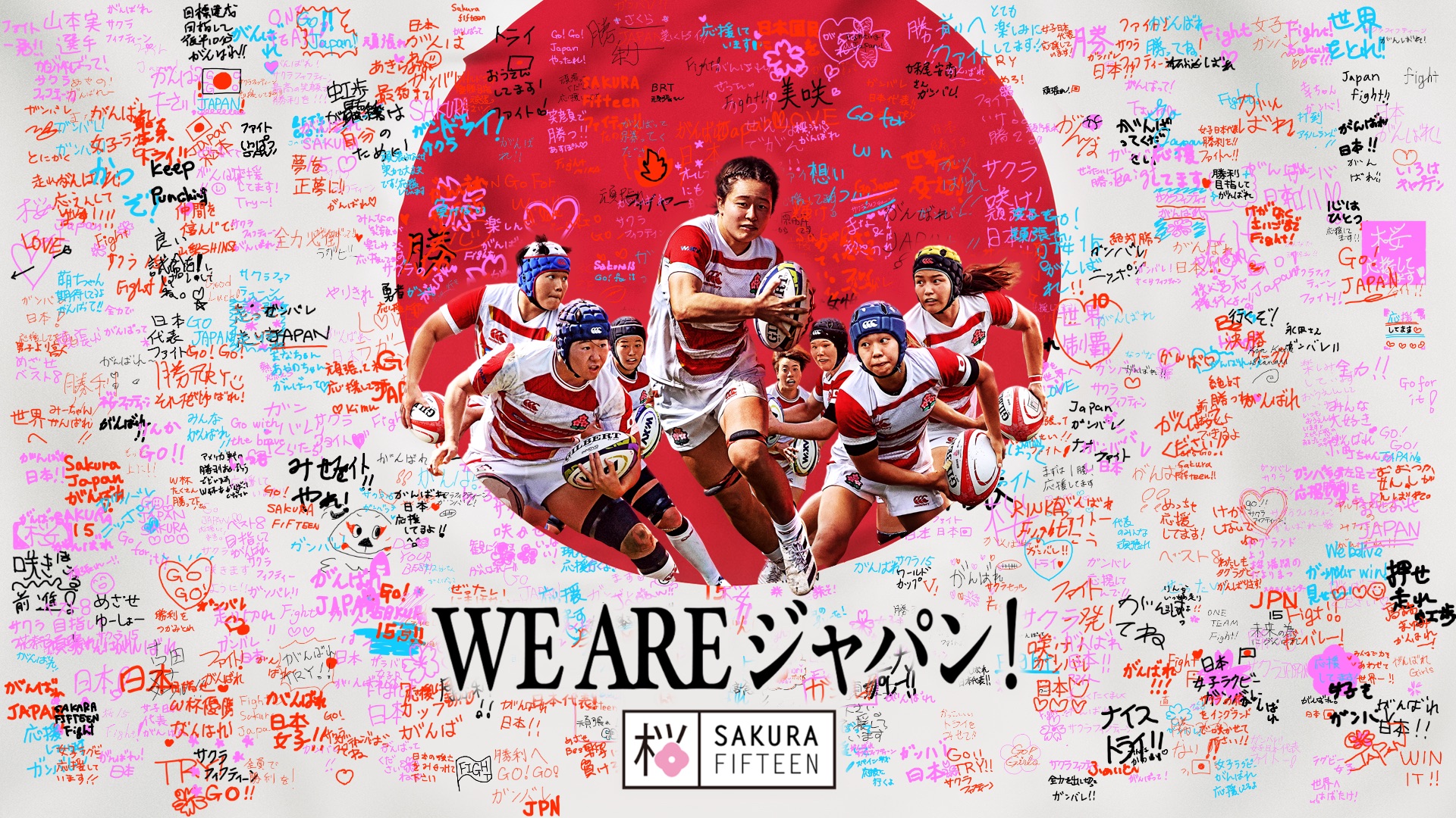 【希少】ラグビー日本代表 桜レガシー なぜ桜？赤白ボーダー？ ラグビー日本代表ジャージーの歴史
